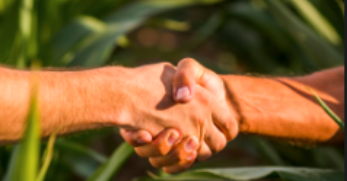 Por que cooperativas crescem enquanto gigantes com bilhões quebram: os segredos revelados