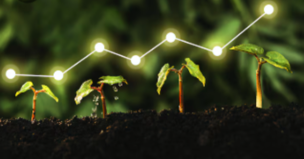 Grandes marcas do agro confundem branding com marketing e perdem milhões