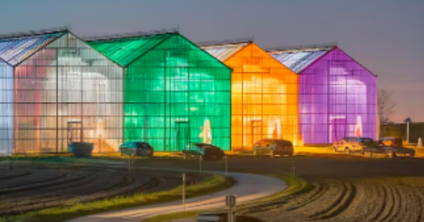 7 diferenciais do 1% das empresas que faturam 77% do agro