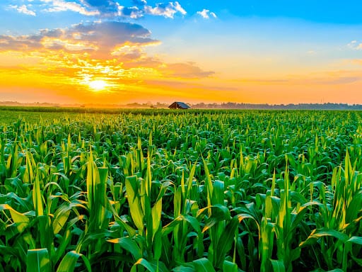 Quem está bancando a safra 2025/26, afinal?