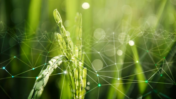 Soberania digital no agro? Produzir aqui, gerenciar lá